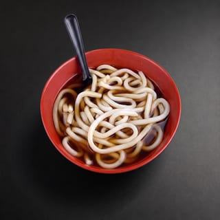 Plain Udon