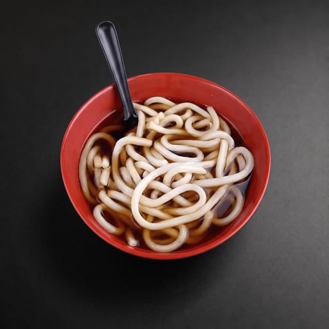 Plain Udon.